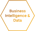 Business Intelligence & Data